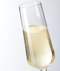 Leonardo Sektgläser Puccini, 6 Stück 18 Leonardo Sektgläser Puccini, 6 Stück -Bloomingville sales 1173526