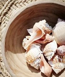 Madam Stoltz Schalen Sandry Aus Paulowniaholz, 2 Stück 11 Madam Stoltz Schalen Sandry Aus Paulowniaholz, 2 Stück -Bloomingville sales 1455098