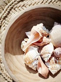 Madam Stoltz Schalen Sandry Aus Paulowniaholz, 2 Stück 7 Madam Stoltz Schalen Sandry Aus Paulowniaholz, 2 Stück – Bild 5