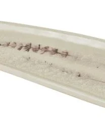 Bloomingville Handgemachte Servierplatte Bea Mit Gräser-Motiv 17 Bloomingville Handgemachte Servierplatte Bea Mit Gräser-Motiv -Bloomingville sales 1521284