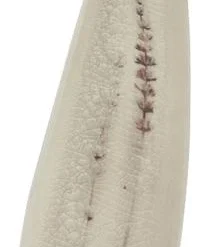 Bloomingville Handgemachte Servierplatte Bea Mit Gräser-Motiv 18 Bloomingville Handgemachte Servierplatte Bea Mit Gräser-Motiv -Bloomingville sales 1521285