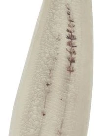 Bloomingville Handgemachte Servierplatte Bea Mit Gräser-Motiv 10 Bloomingville Handgemachte Servierplatte Bea Mit Gräser-Motiv – Bild 8