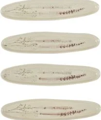 Bloomingville Handgemachte Servierplatte Bea Mit Gräser-Motiv 16 Bloomingville Handgemachte Servierplatte Bea Mit Gräser-Motiv -Bloomingville sales 1527081