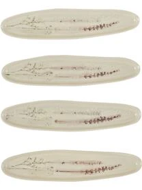 Bloomingville Handgemachte Servierplatte Bea Mit Gräser-Motiv 8 Bloomingville Handgemachte Servierplatte Bea Mit Gräser-Motiv – Bild 6